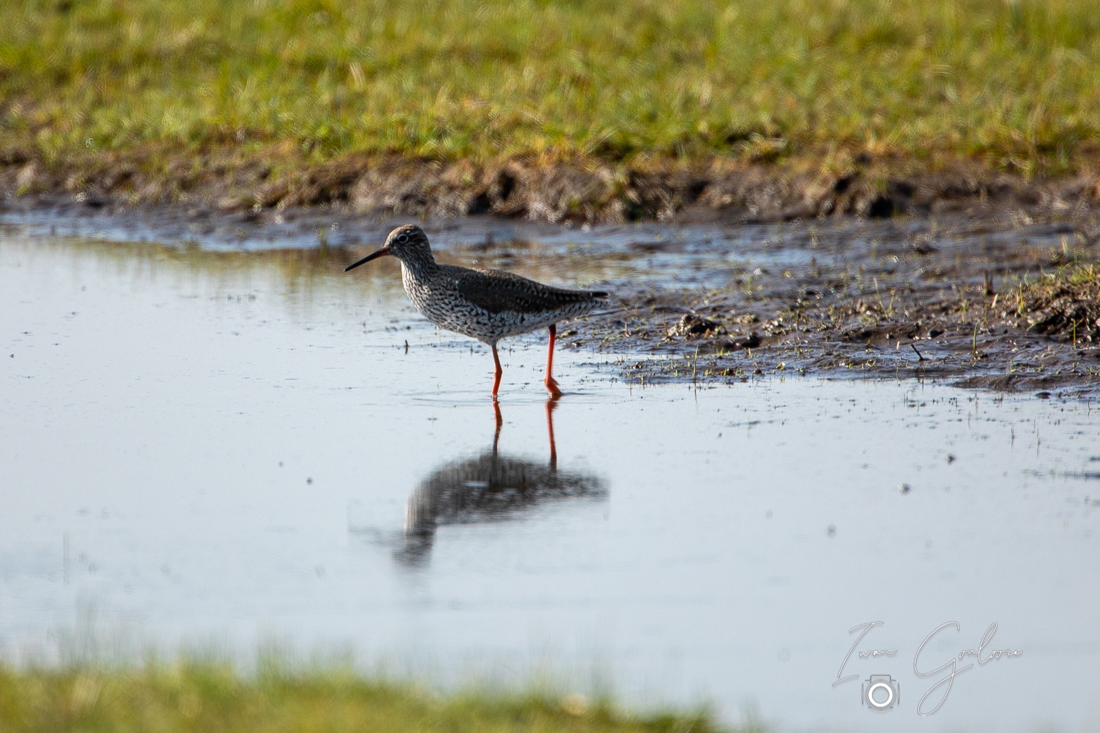 14 april 2022 103854  5D46110